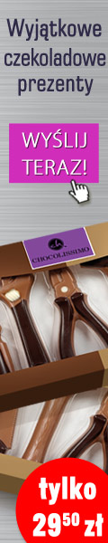 ChocoTools_120x600