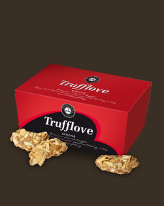 Trufflove, wyjątkowy smak czekoladek chocolissimo.pl Trufflove, wyjątkowy smak czekoladek chocolissimo.pl