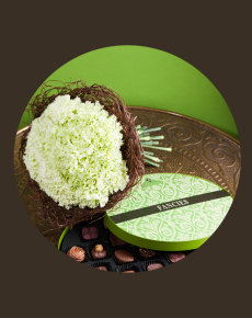 "Marzenie" z Fancies Vert, wyjątkowy smak czekoladek chocolissimo.pl "Marzenie" z Fancies Vert, wyjątkowy smak czekoladek chocolissimo.pl