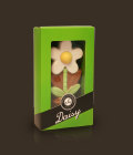 Daisy green, wyjątkowy smak czekoladek chocolissimo.pl
