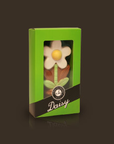 Kwiatek biały, wyjątkowy smak czekoladek chocolissimo.pl