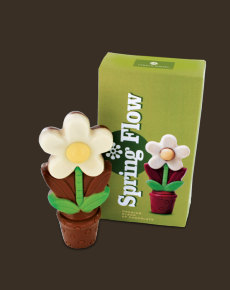 Spring Flower, wyjątkowy smak czekoladek chocolissimo.pl