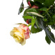 Różowo-kremowa róża i Super Babcia