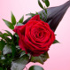 Czerwona róża i telegram Bardzo Cię kocham