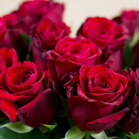 Bukiet czerwonych róż z okazji dnia kobiet