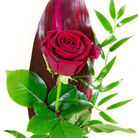 Słodki telegram dla babuni z różą