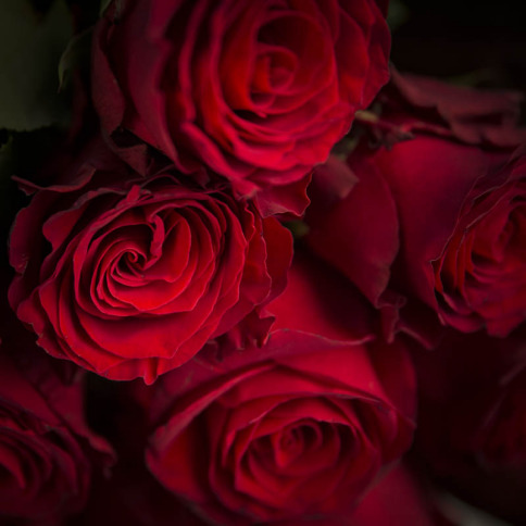 bukiet róż z dostawą na prezent dla kobiety