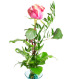 Różowo-kremowa róża