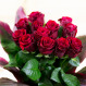 Bukiet czerwonych róż i telegram Bardzo Cię Kocham