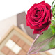 Czekoladowe życzenia i czerwona róża dla Mamy