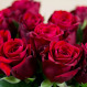 Bukiet czerwonych róż i telegram Bardzo Cię Kocham
