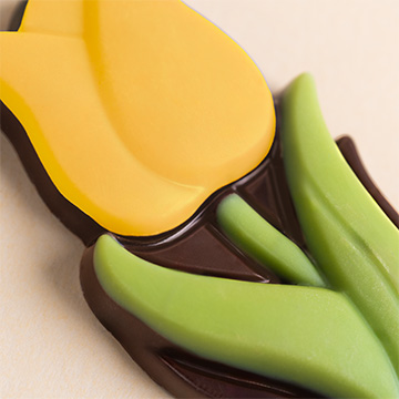 Szczeg&oacute;ły tulipanka z belgijskiej czekolady