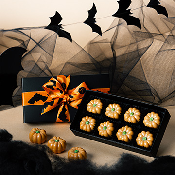 Zestaw 8 dyń z belgijskiej czekolady najwyższej jakości 