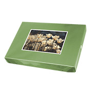 Postcard zielony 2x7 + pralinki