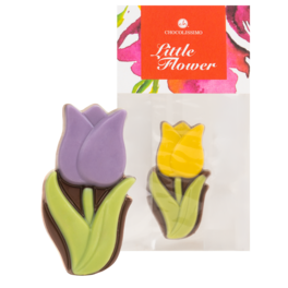 Tulipan z czekolady