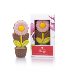 Daisy pink - czekoladowy kwiatek