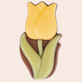 Tulipanek z czekolady