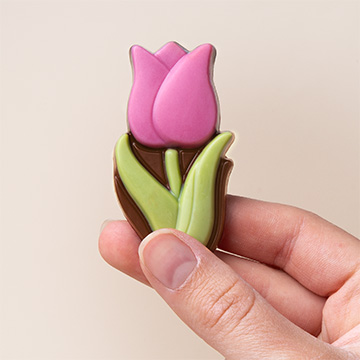 tulipan z czekolady w rece